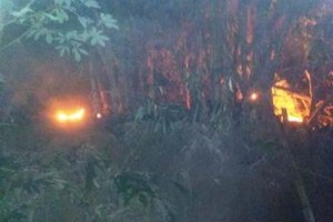 Lahan Milik Warga Desa Padarek Terbakar